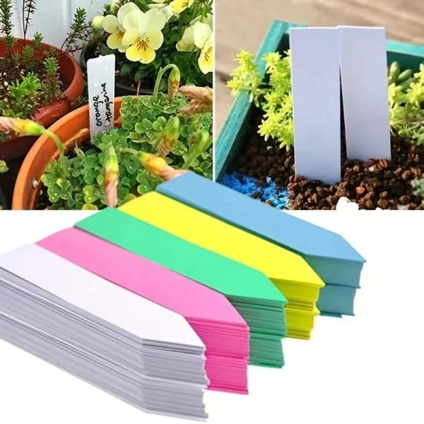 Étiquettes de plantes à piquer, lot de 100