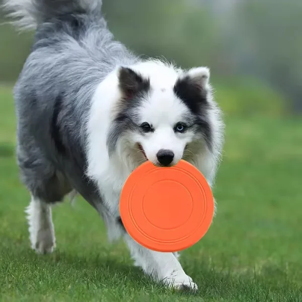 Frisbee en caoutchouc souple pour chien