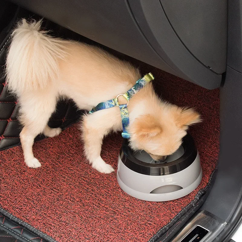En voiture