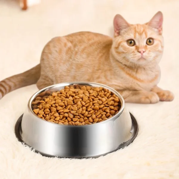Pour le chat