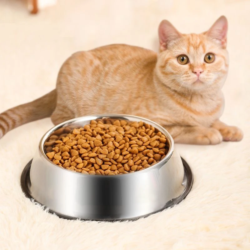 Pour le chat