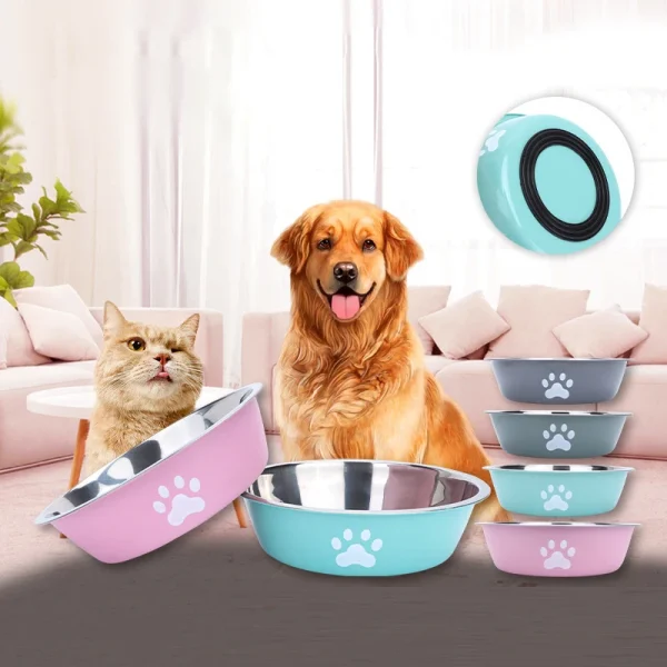Chat et chien