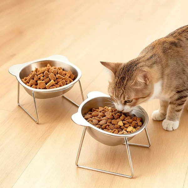 Gamelle surélevée inclinée en inox pour chat