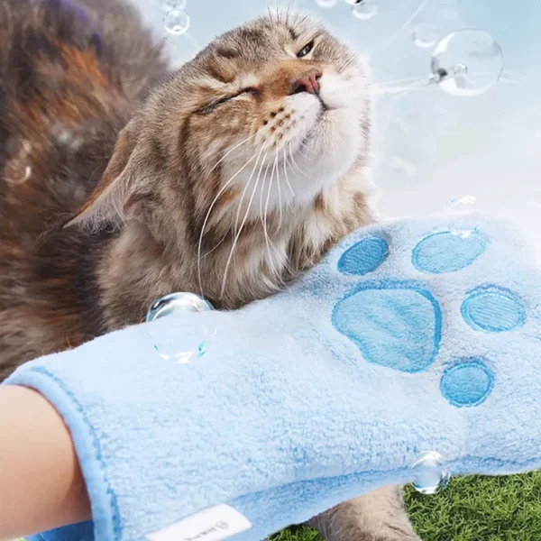 Chat essuyé