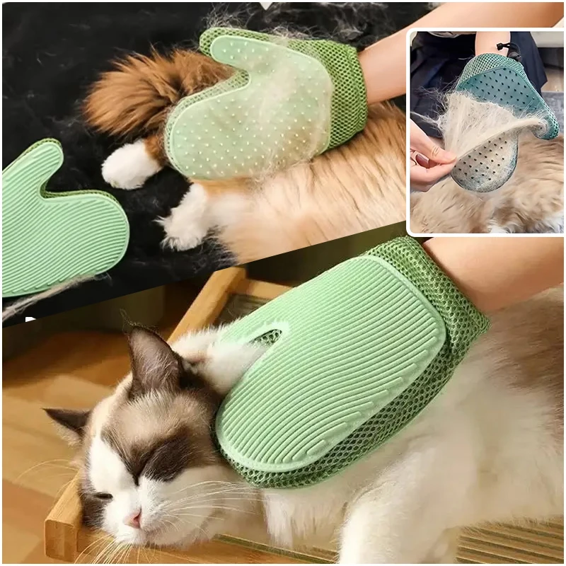 Gants et chats
