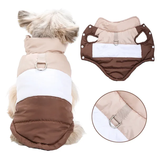 Chien en gilet