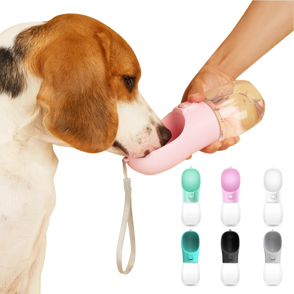 Beagle qui boit