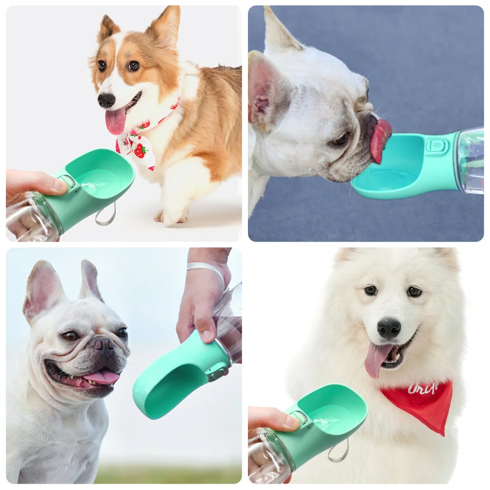 Chiens qui boivent
