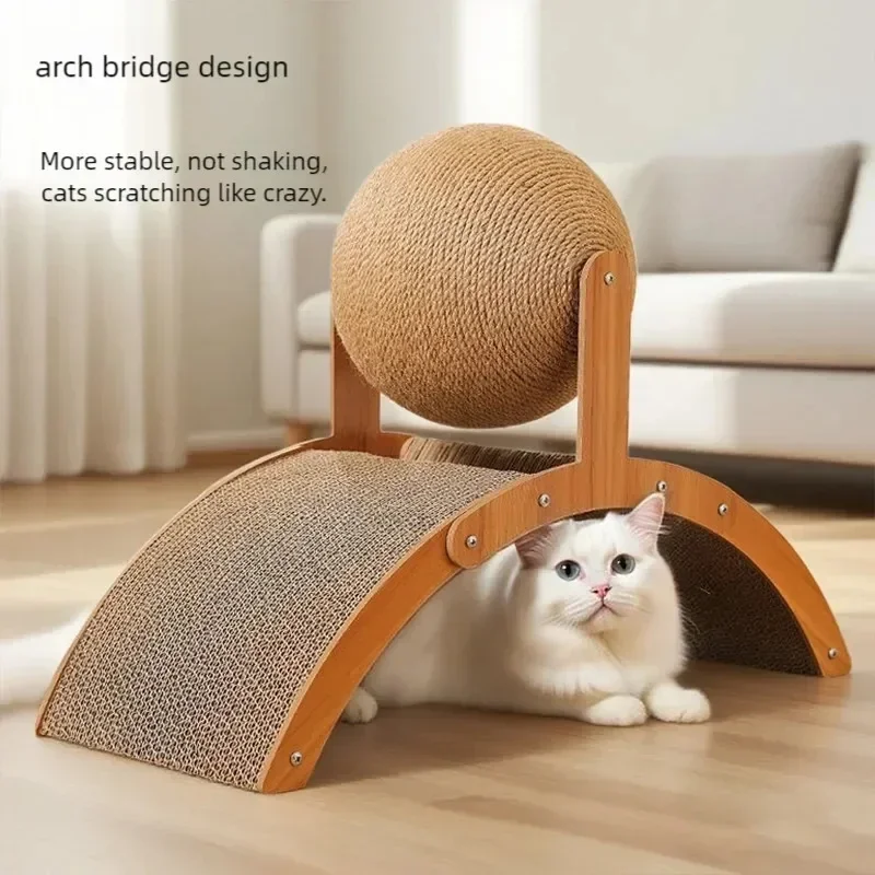 Chat sous l'arche