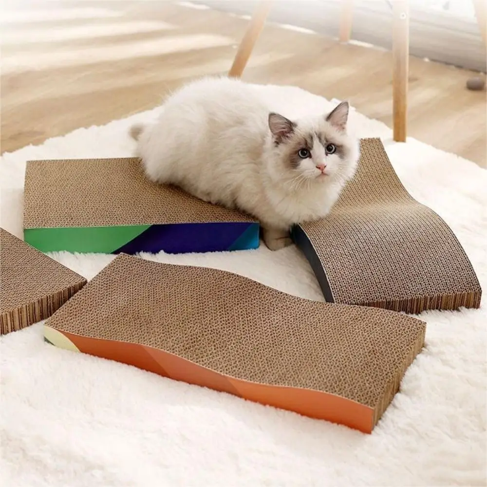 Chat sur le griffoir