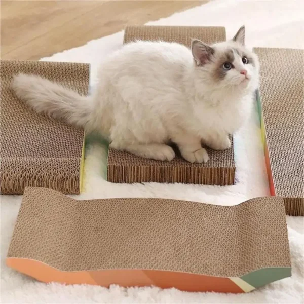 Chat et griffoirs