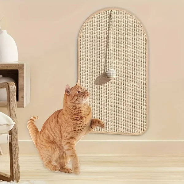 Chat qui griffe