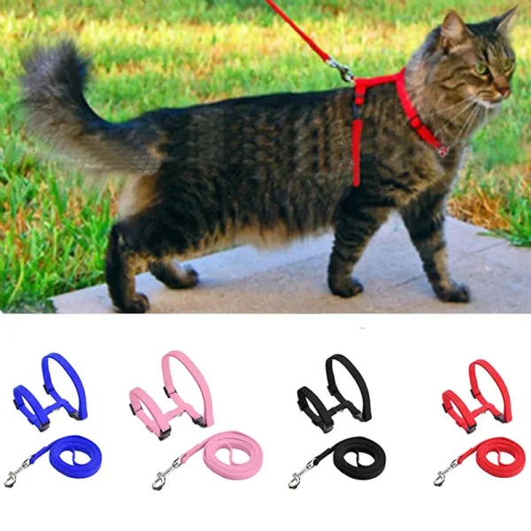 Harnais en H et laisse pour chat