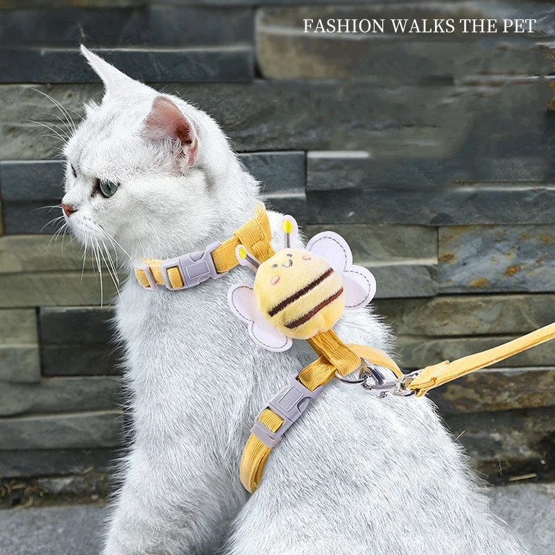 Chat en harnais
