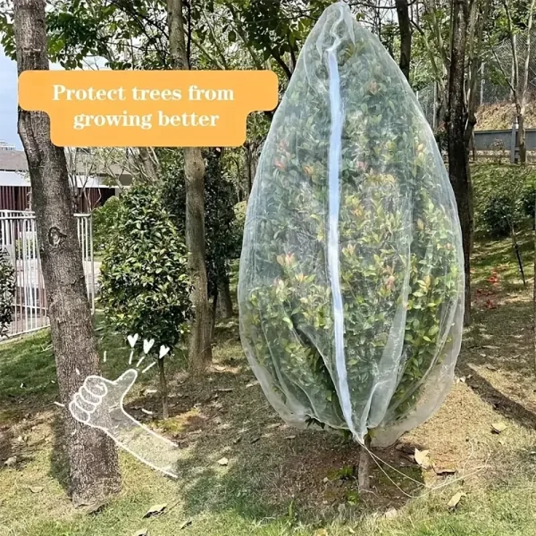 Arbre protégé