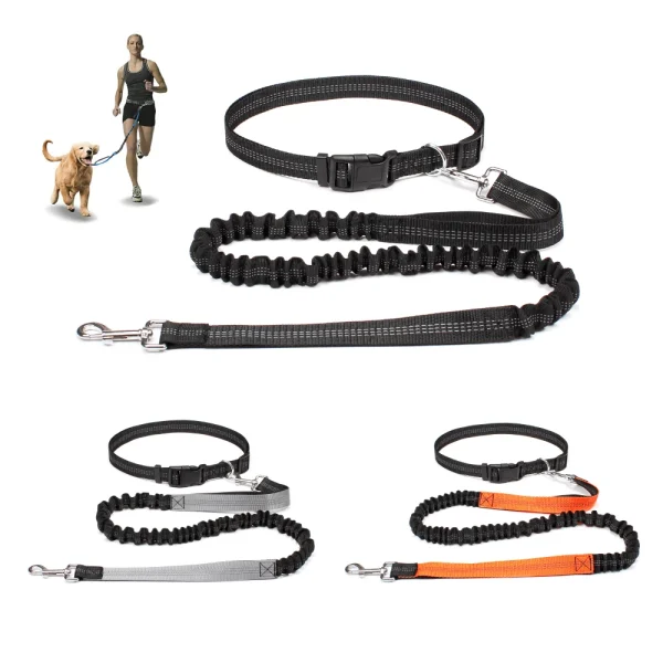 Laisse mains libres élastique jogging