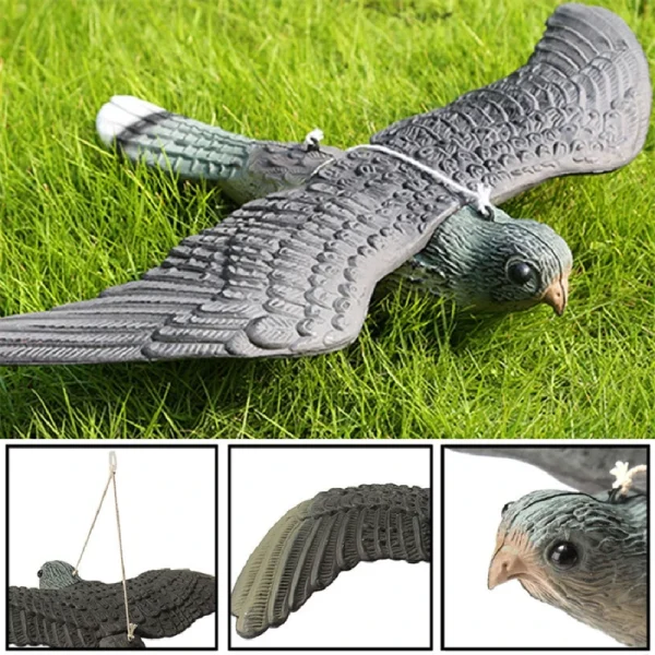 Rapace posé sur la pelouse