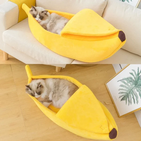 Chats dans la banane