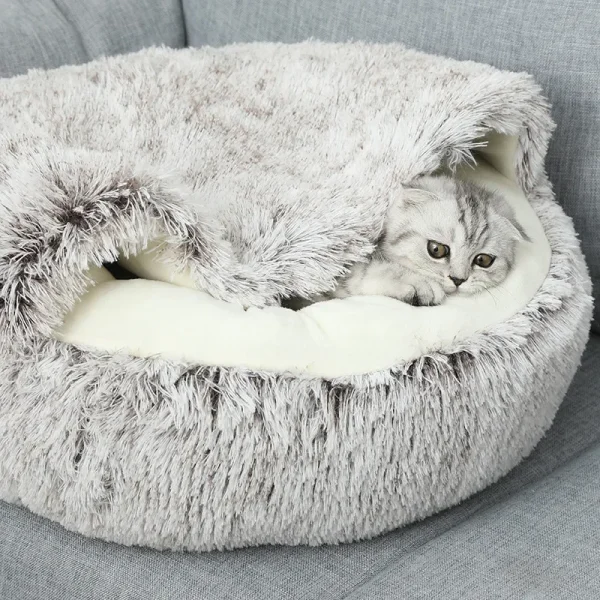 Chat dans le cocon