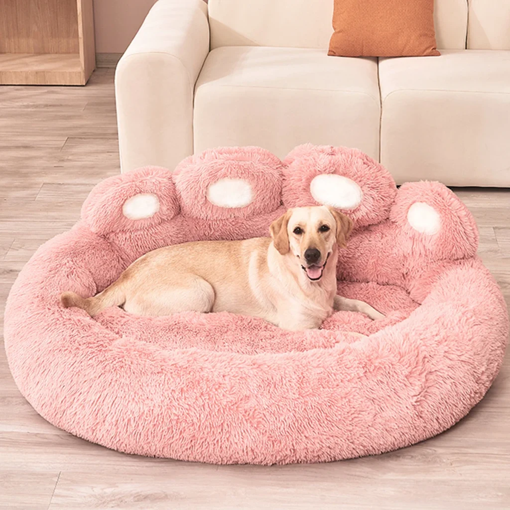 Labrador sur le lit rose