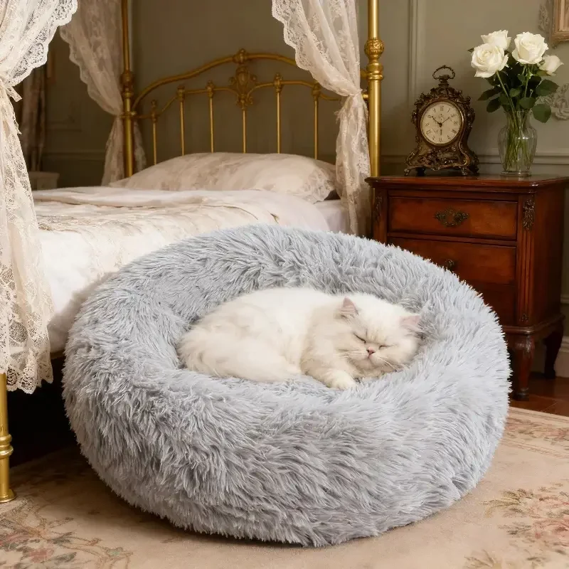Chat endormi