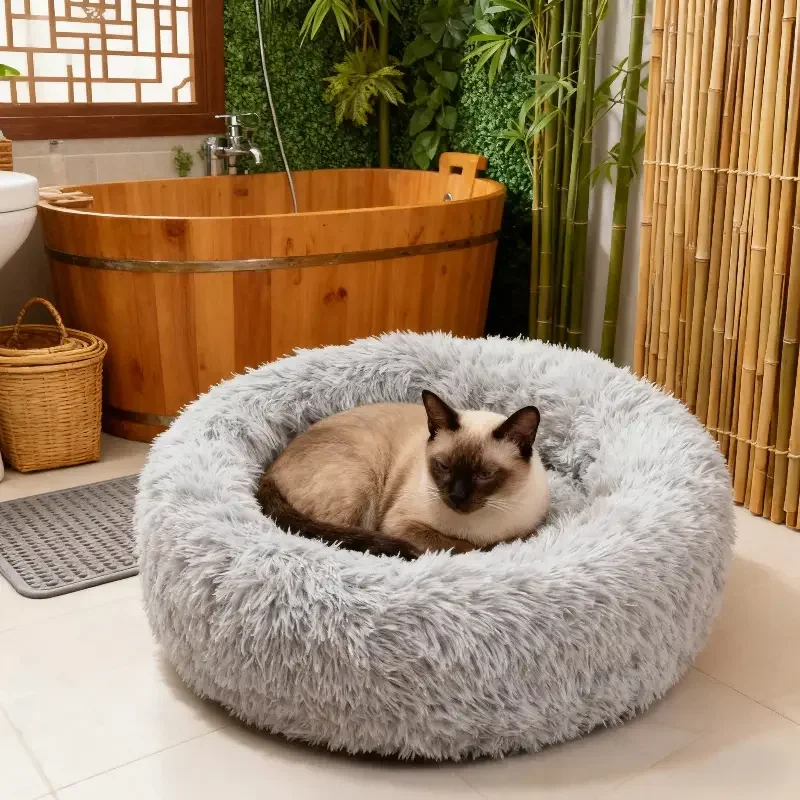 Chat dans le lit