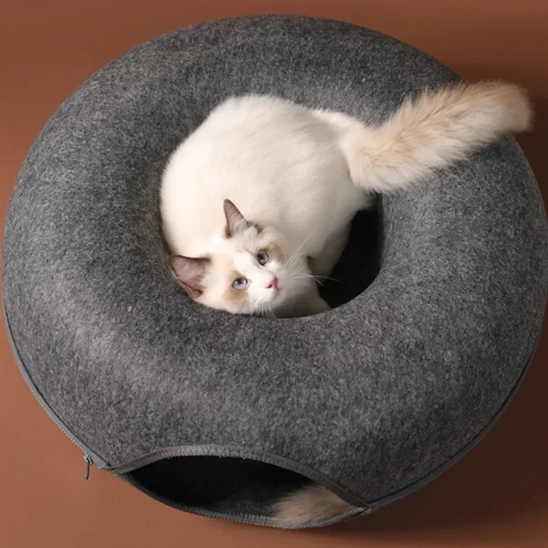 Chat dans le tunnel