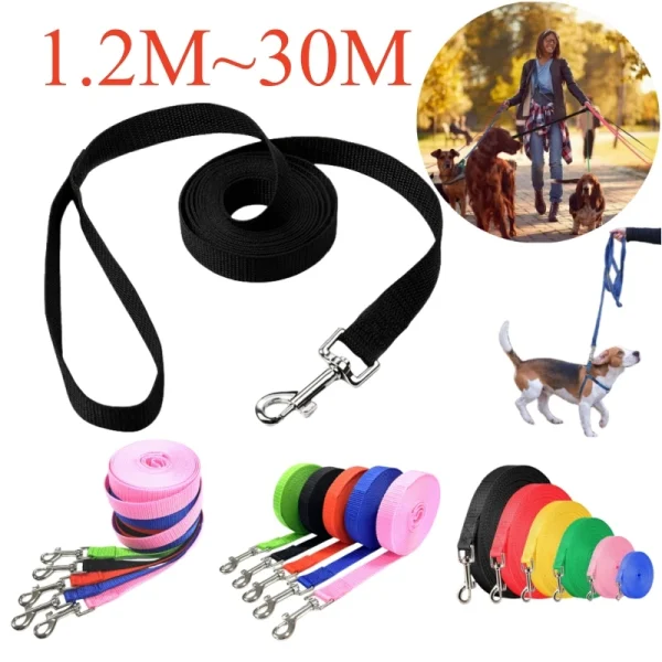 Longe d'éducation en nylon pour chien