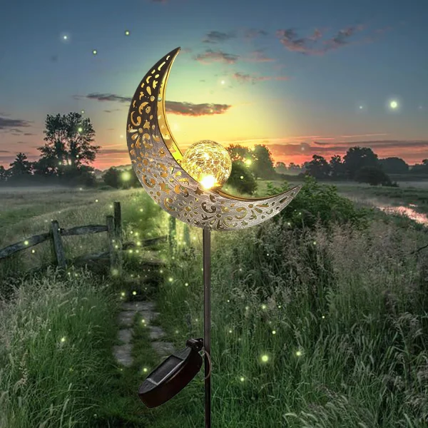 Lune solaire dans un pré au crépuscule