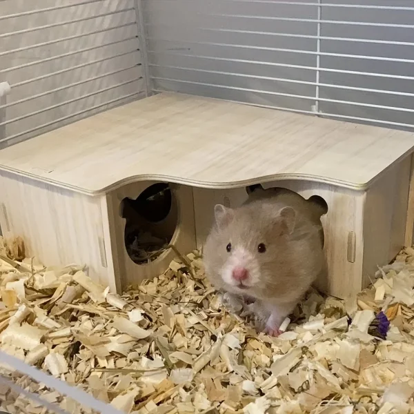Maison d'angle en bois pour hamster