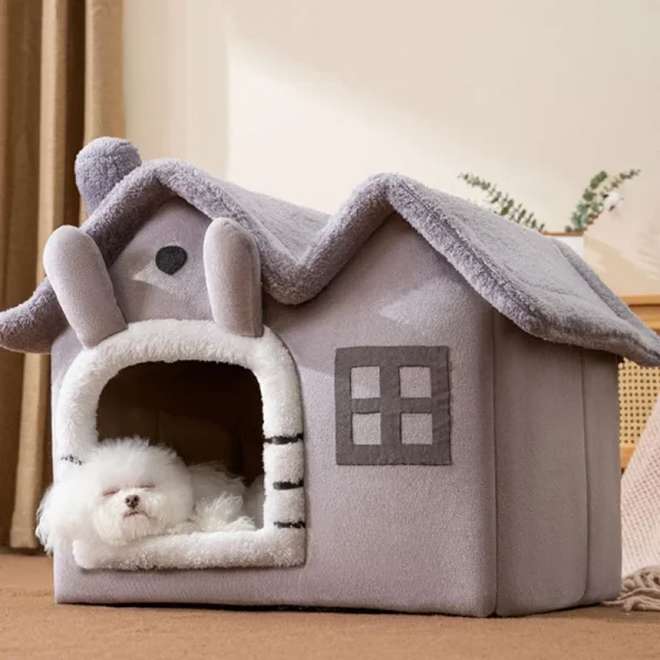 Petit chien dans la maison