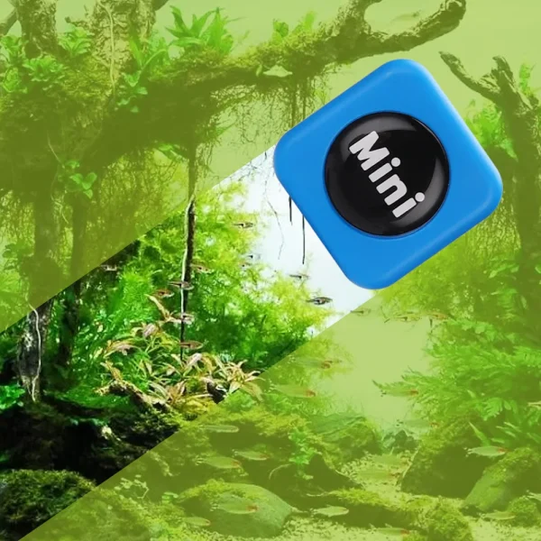 Au milieu des plantes