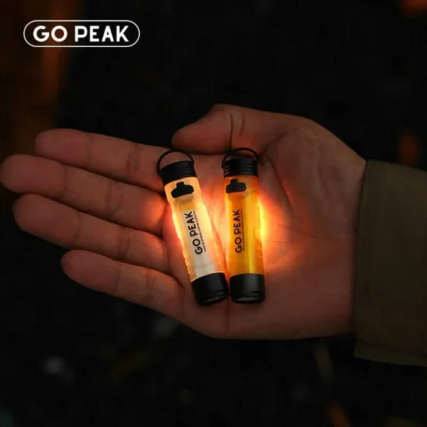 Mini lampe de poche GOPEAK rechargeable USB-C, aimantée, avec mousqueton – 18,5 g