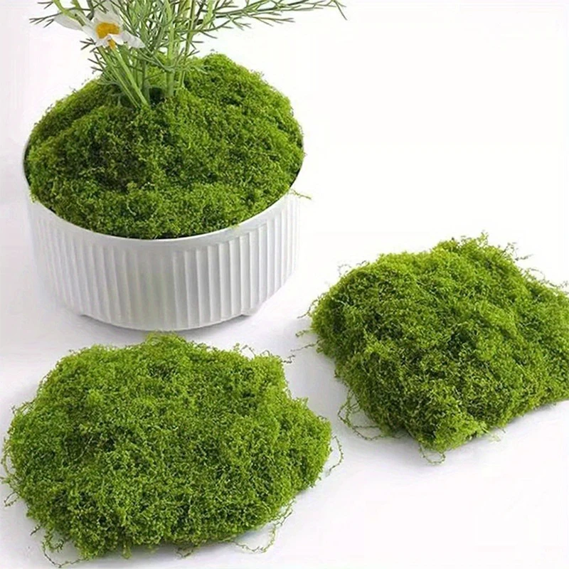 Mousse dans un pot blanc