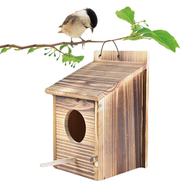 Nichoir en bois brûlé avec perchoir