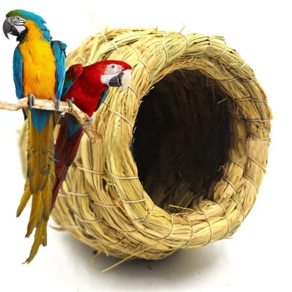 Nid en paille tressée pour oiseau