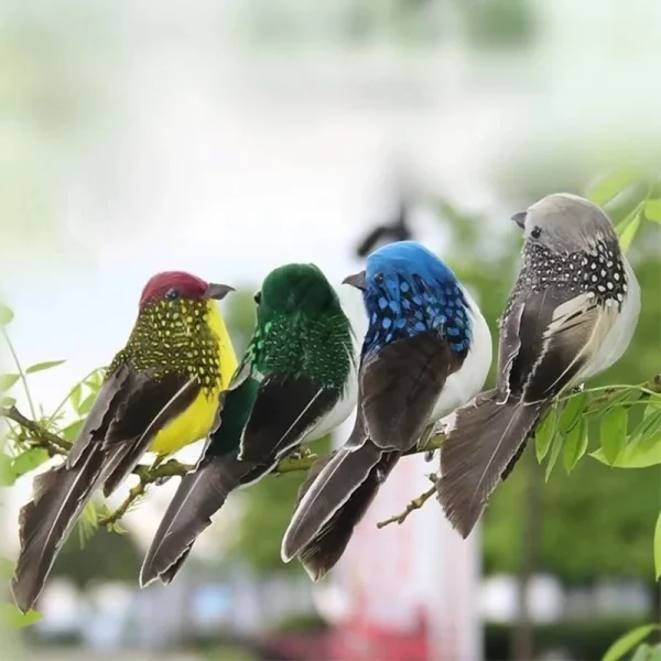 Oiseaux colorés