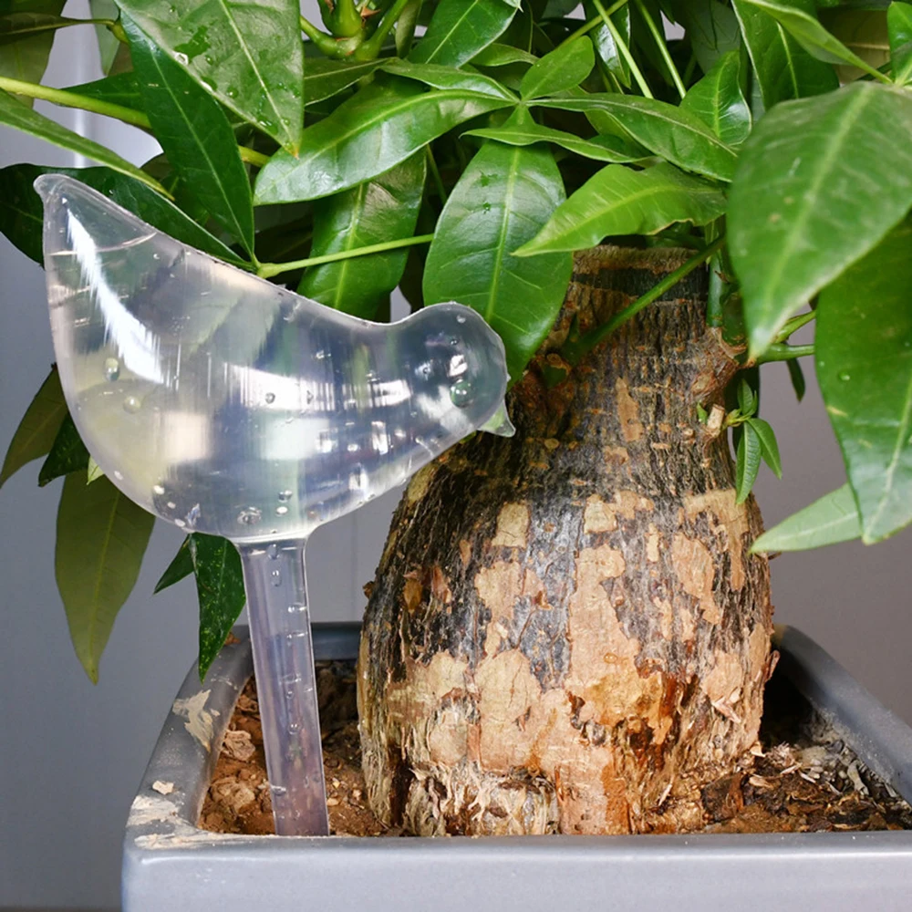 Oiseau dans un pot