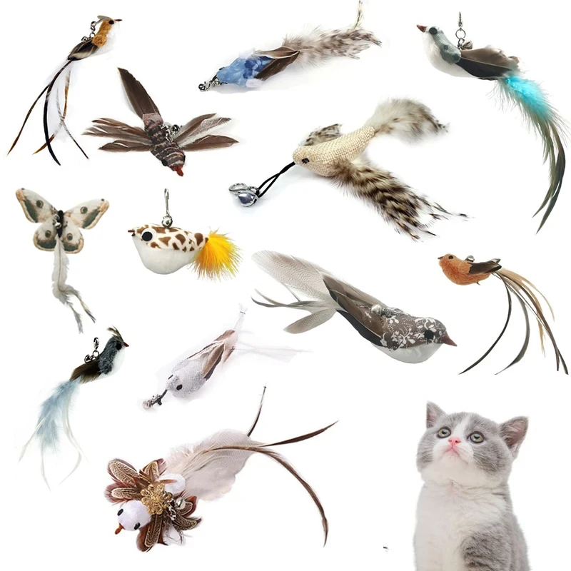 Tous les oiseaux