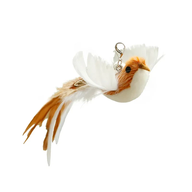 Oiseau café