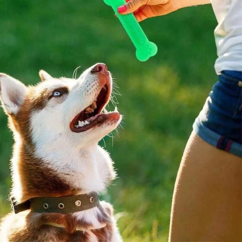 Husky et os