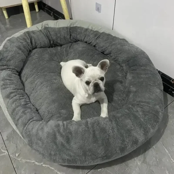 Bouledogue dans le panier