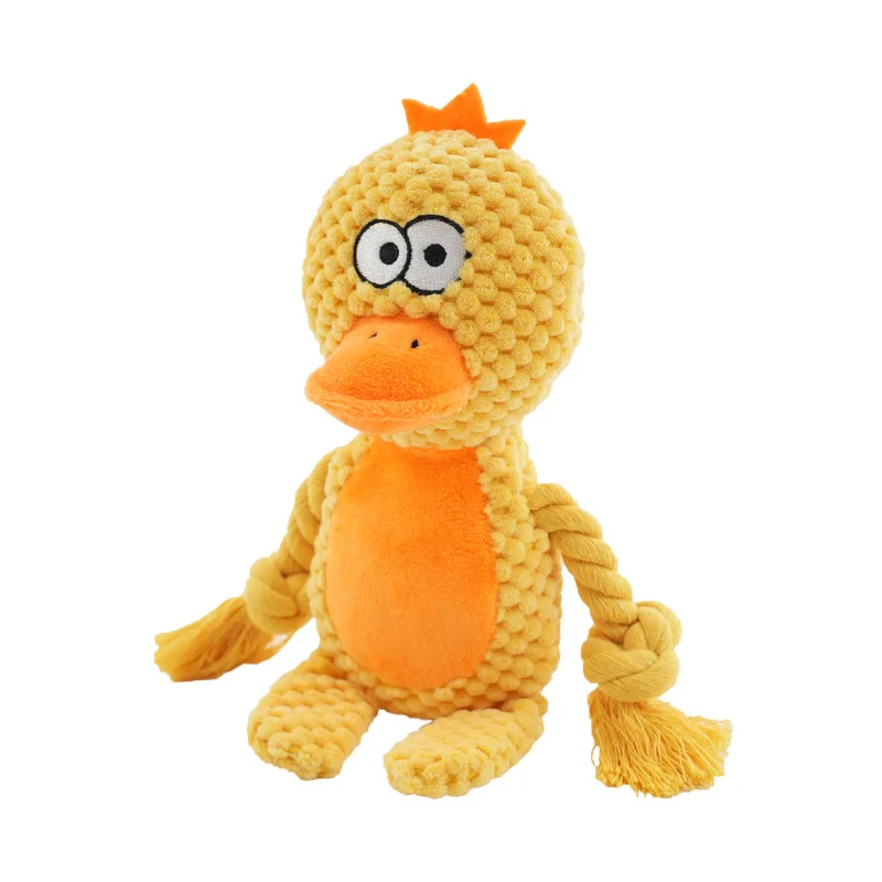 Canard