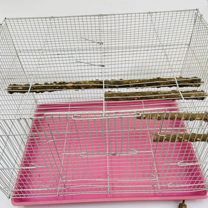 Dans la cage