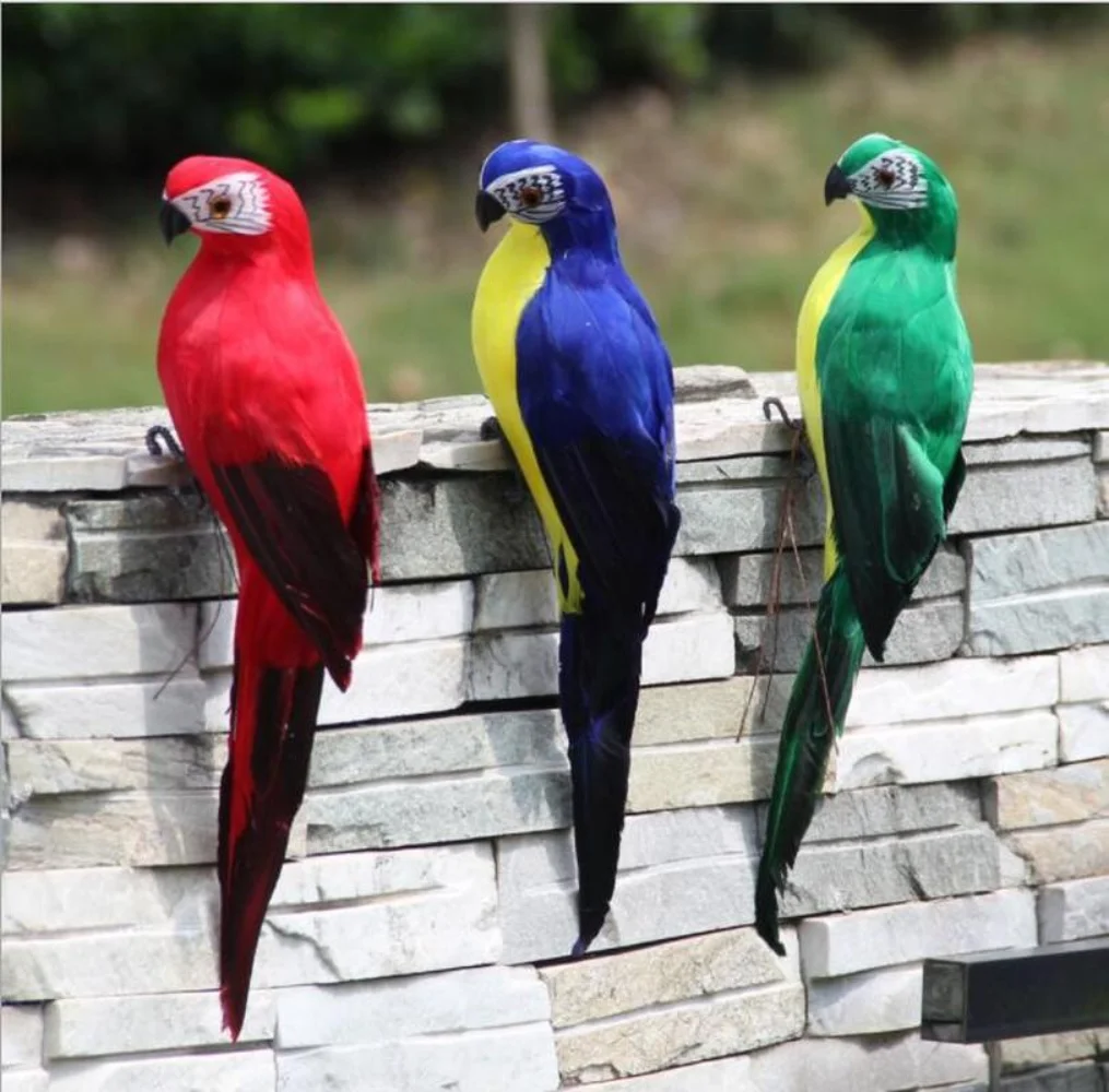 Perroquets rouge, bleu et vert