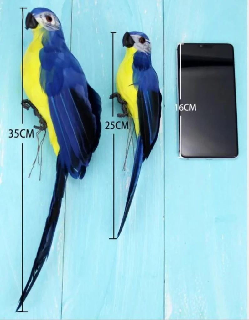 Perroquets de 25 et 35 cm