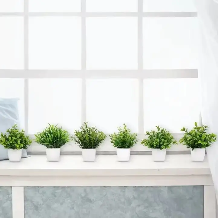 Plantes alignées sur un rebord de fenêtre