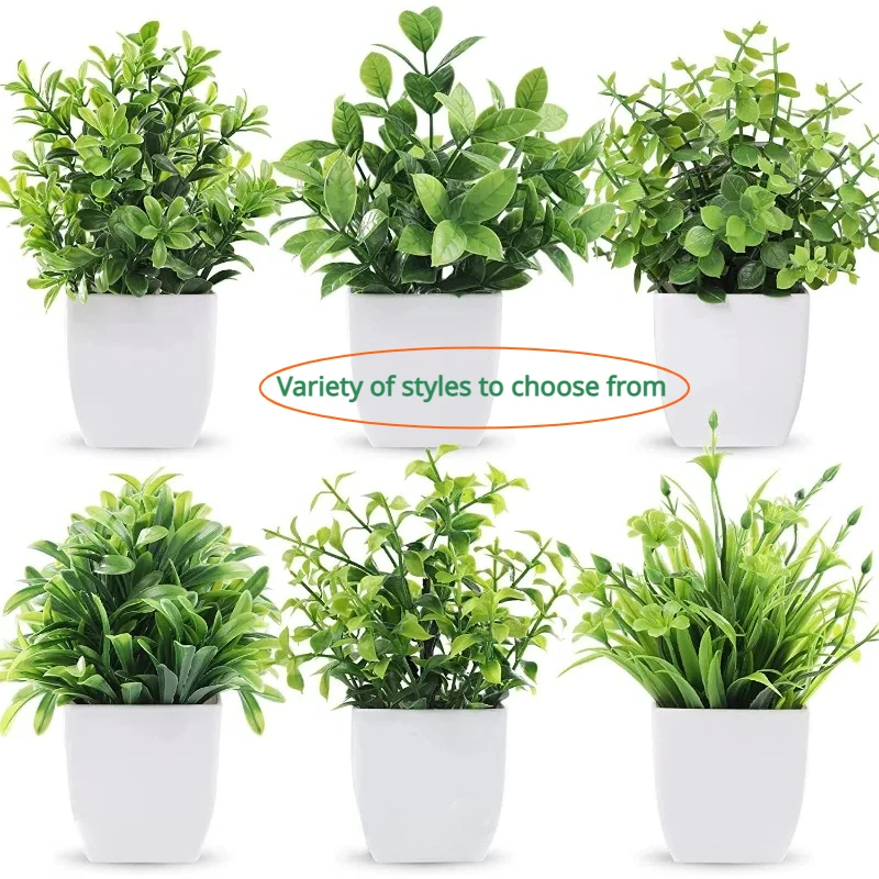 Six modèles de petites plantes