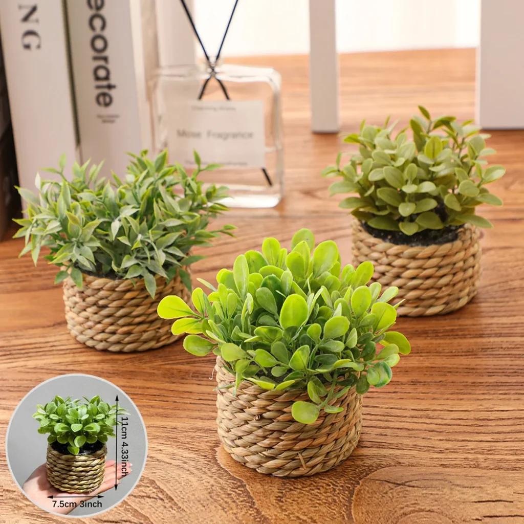 Petites plantes sur une table