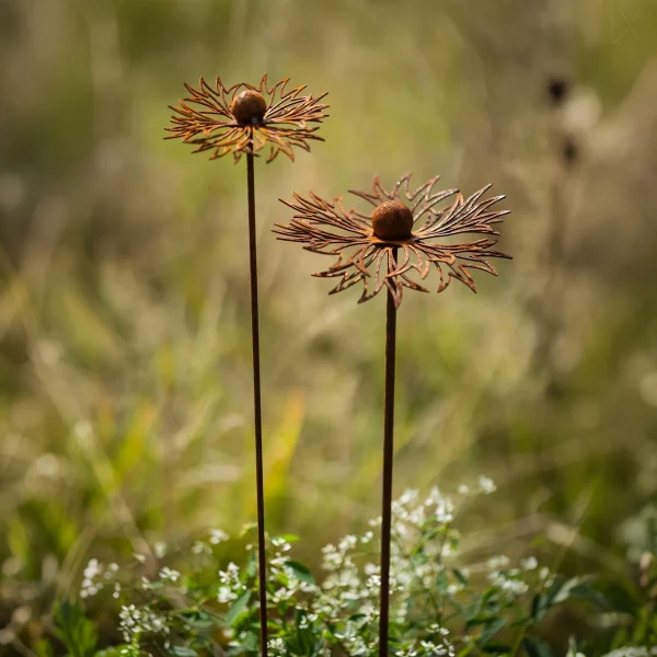 Deux fleurs dans l'herbe